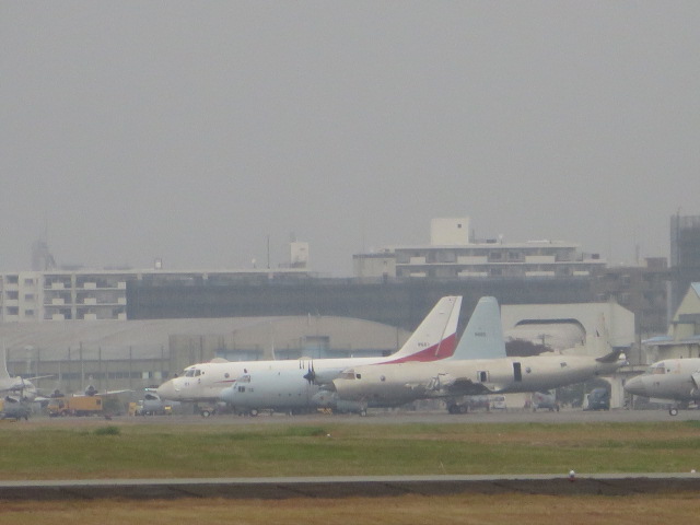 d0351213_19454457.jpg