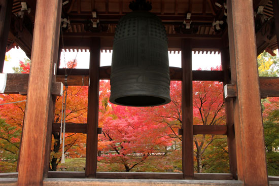 紅葉探訪13　智積院など_e0048413_17565262.jpg