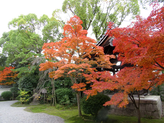 紅葉探訪13　智積院など_e0048413_17584838.jpg