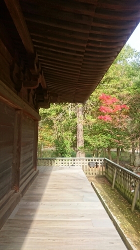 e0058913_11165720.jpg