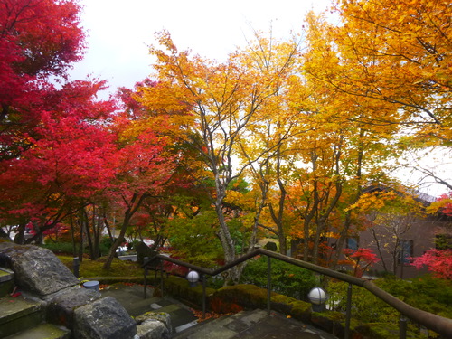 a0236914_5473865.jpg