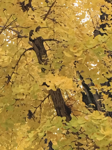f0369914_22392550.jpg