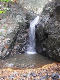 c0359615_21151553.jpg