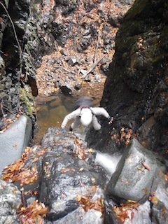 c0359615_21164426.jpg