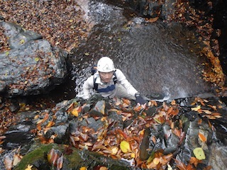 c0359615_21173333.jpg