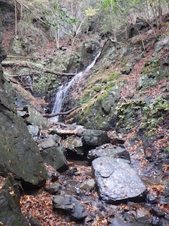c0359615_21174577.jpg