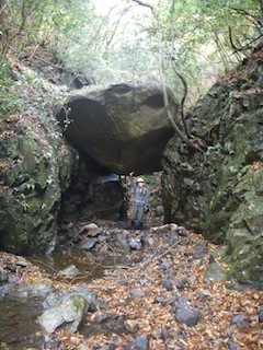 c0359615_21181783.jpg