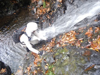 c0359615_21184771.jpg