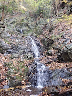 c0359615_21224315.jpg