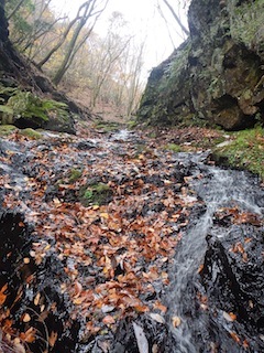 c0359615_21230318.jpg