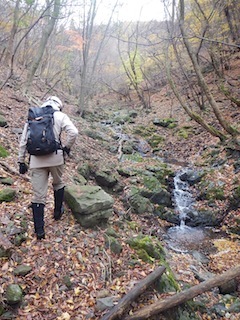 c0359615_21232020.jpg
