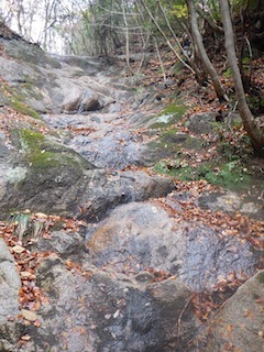 c0359615_21243831.jpg
