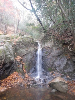 c0359615_21245204.jpg