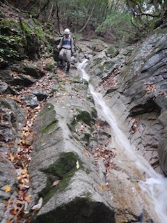 c0359615_21250714.jpg