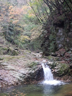 c0359615_21263978.jpg