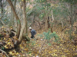 c0359615_21271678.jpg