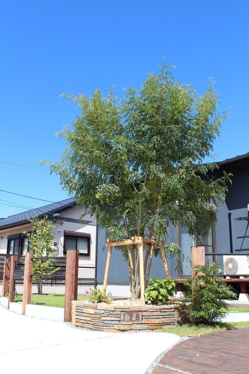 宮崎市Y様邸NEW BUILDING_b0236217_11946100.jpg