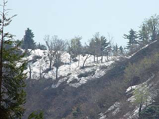 c0346119_01565102.jpg