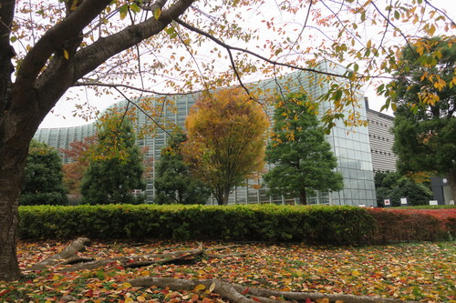 f0254219_23335711.jpg