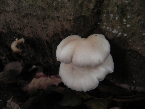 e0352220_13361434.jpg
