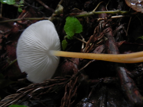 e0352220_13391546.jpg