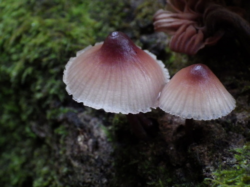 e0352220_13395831.jpg