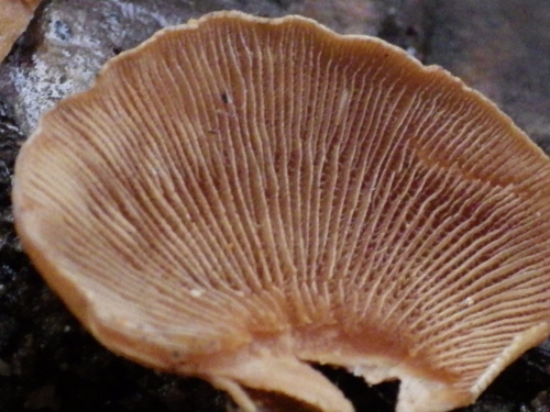 e0352220_13415686.jpg