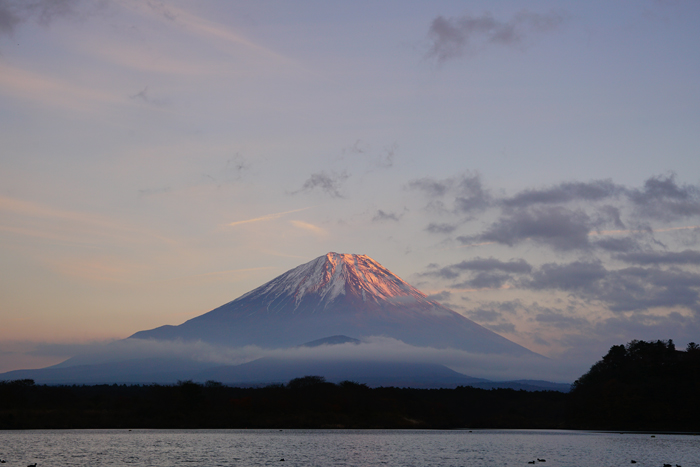 精進湖より 富士_e0077521_20532362.jpg