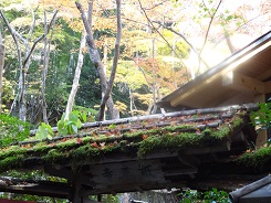 f0000521_5244660.jpg
