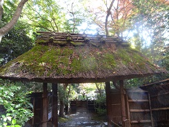 嵯峨野散策④　秋の祇王寺　　２０１６・１１・２２_f0000521_5251012.jpg