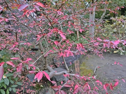 a0105023_06173839.jpg