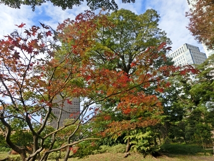 a0105023_14155710.jpg