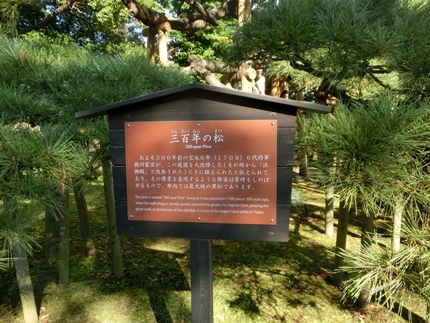 a0105023_14201910.jpg