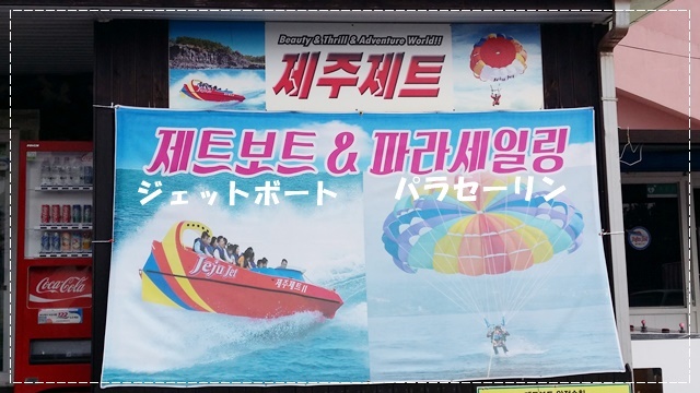 a0115924_16344066.jpg