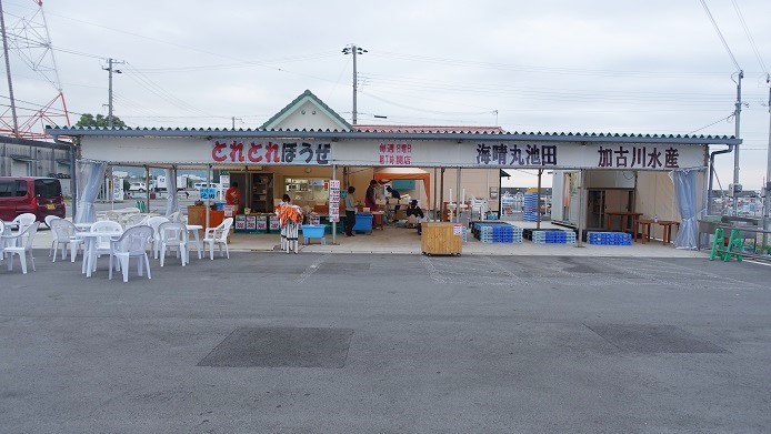 マグロ解体　鮮魚店頭販売の王道なのですが_e0065925_19580172.jpg