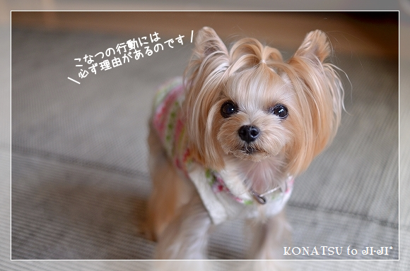 d0179828_12573891.png