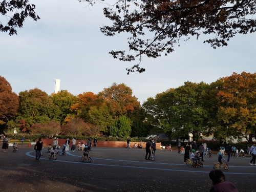 紅葉狩りin世田谷_e0016828_10054615.jpg