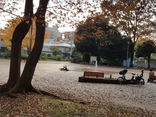 紅葉狩りin世田谷_e0016828_10472245.jpg