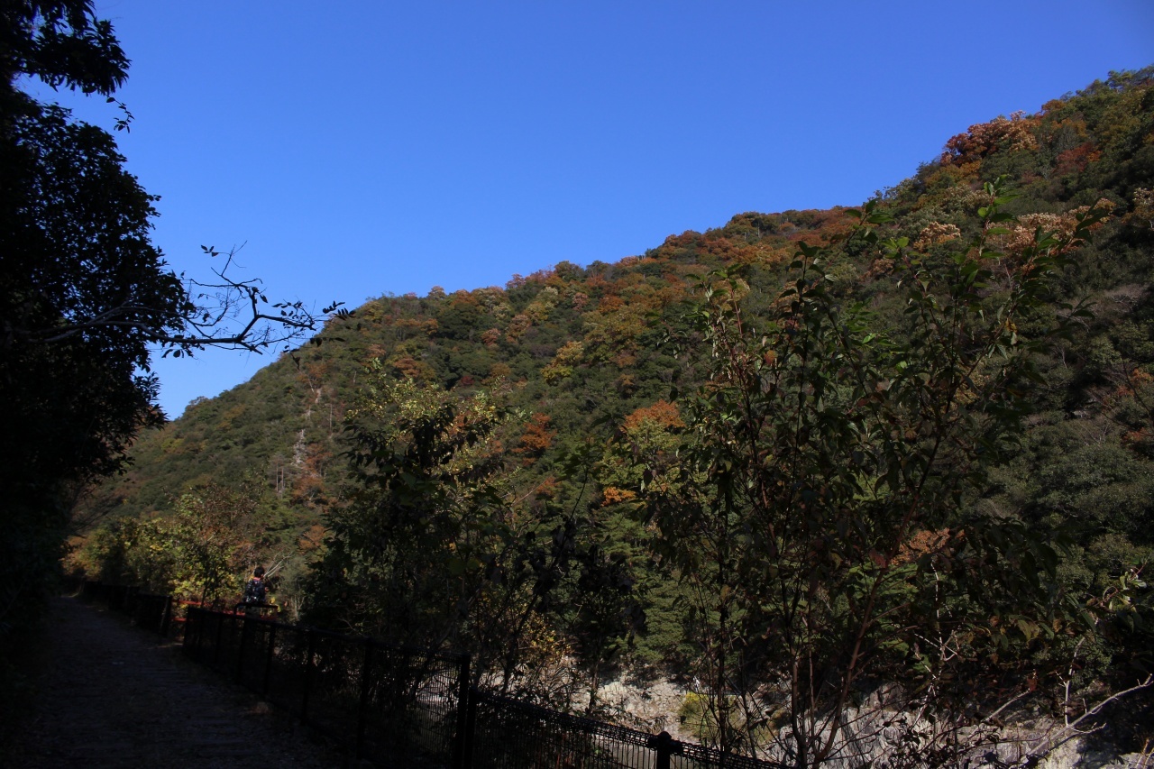 ▲11月の「月一山へ」報告_a0355629_10255119.jpg