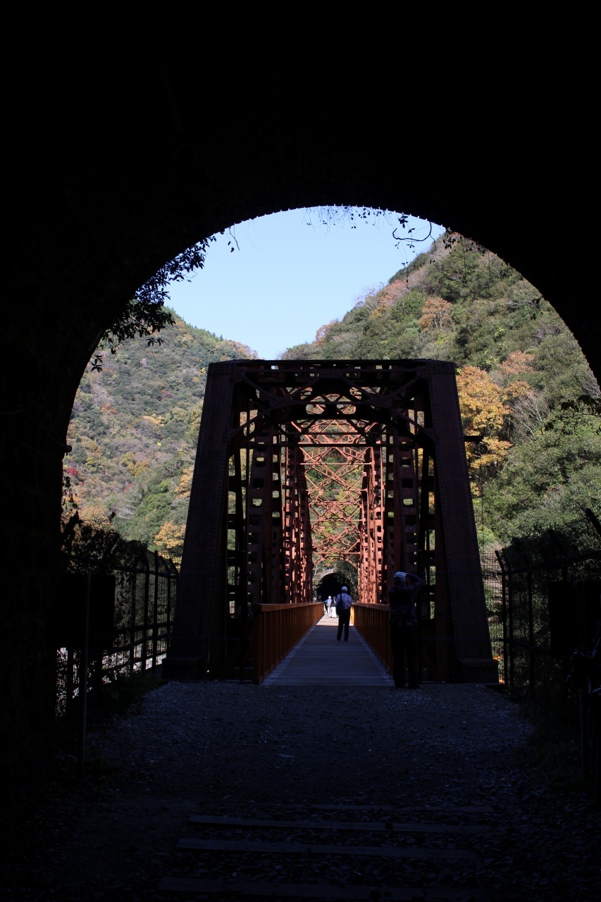 ▲11月の「月一山へ」報告_a0355629_10281870.jpg