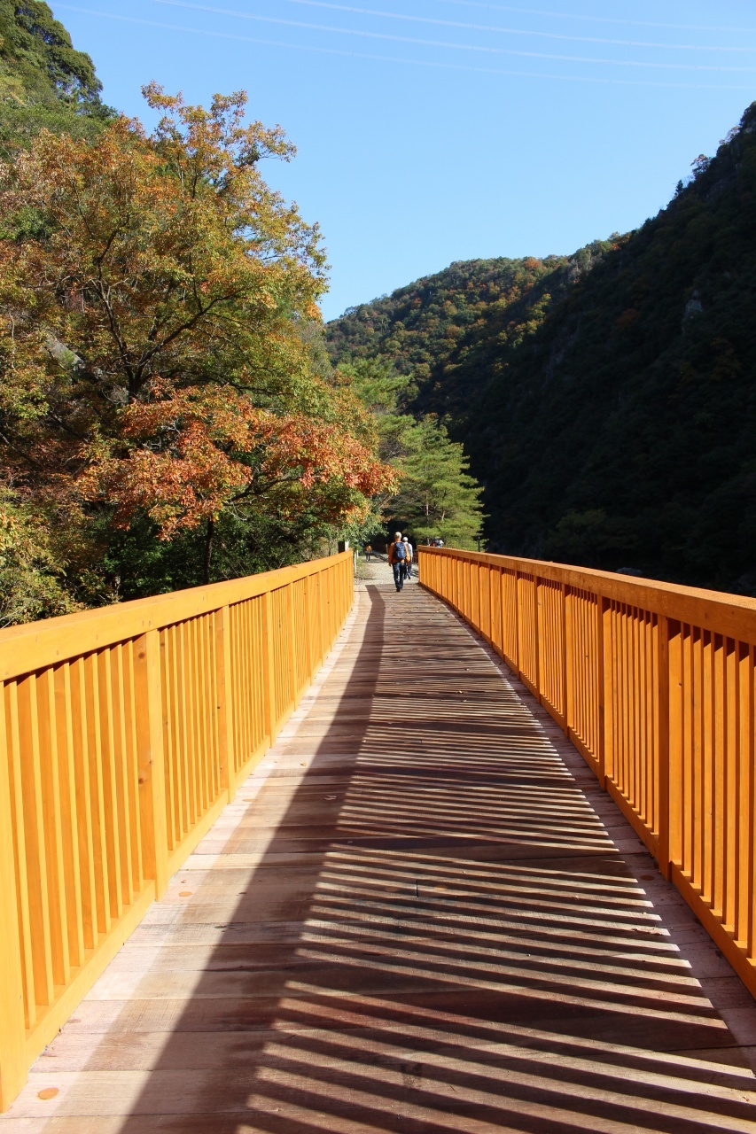 ▲11月の「月一山へ」報告_a0355629_10302791.jpg