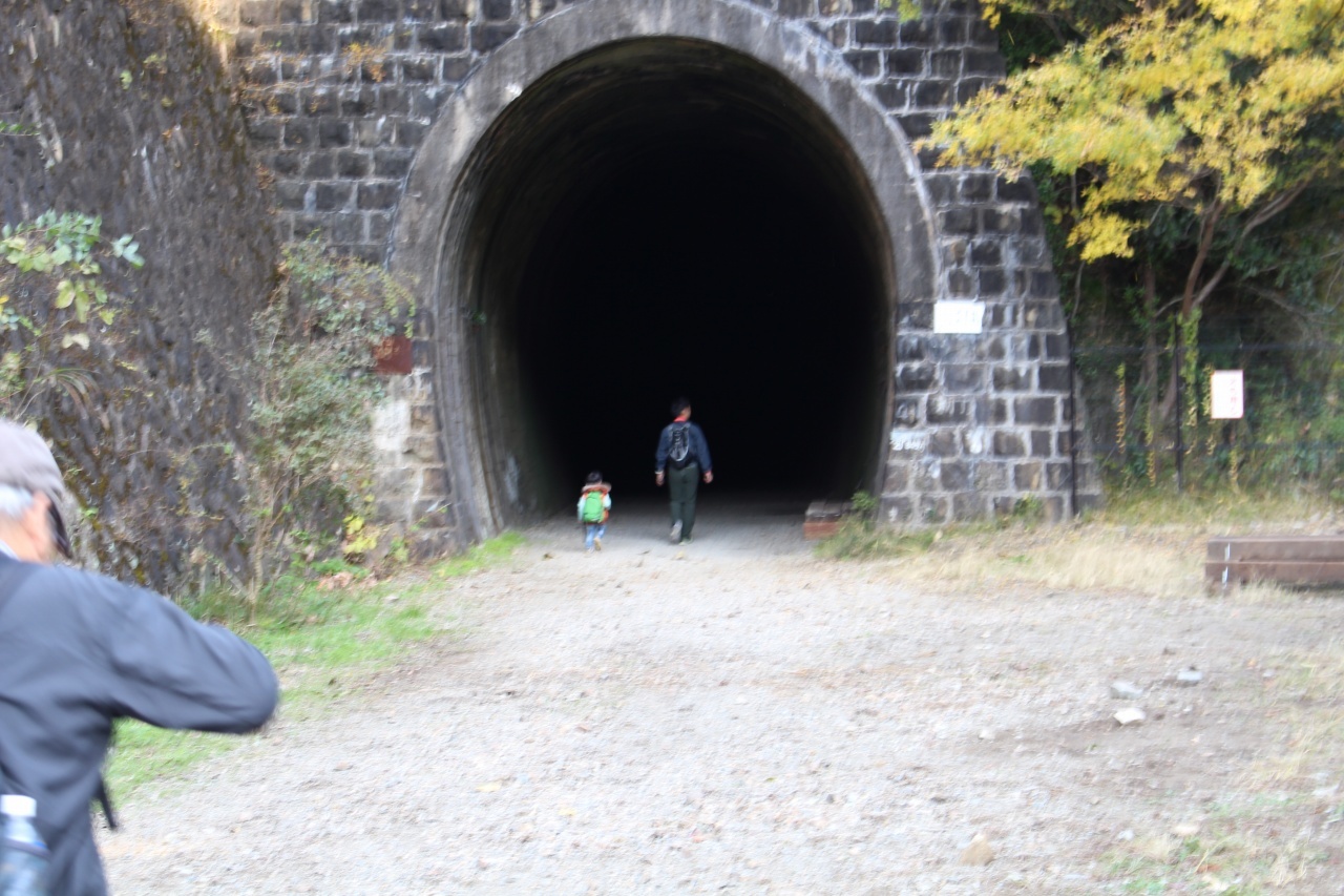 ▲11月の「月一山へ」報告_a0355629_10355843.jpg