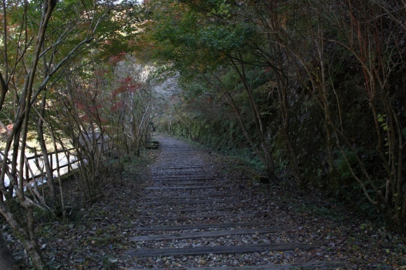 ▲11月の「月一山へ」報告_a0355629_10543613.jpg