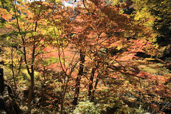 f0229832_09151957.jpg