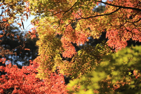 f0229832_09153452.jpg