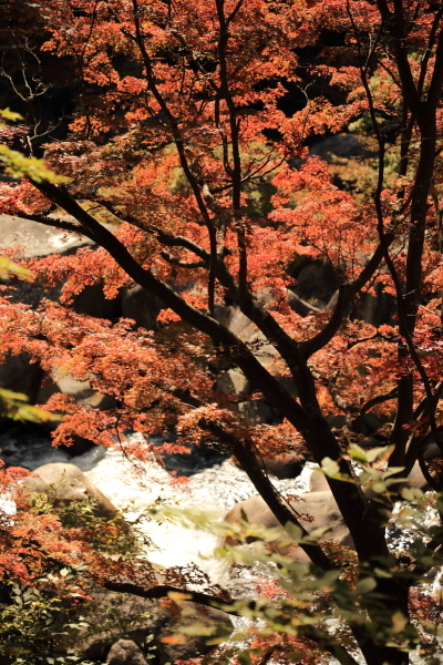 f0229832_09161480.jpg