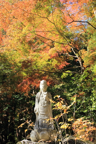 f0229832_09171236.jpg