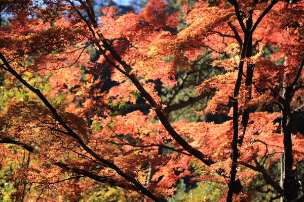 f0229832_09172453.jpg