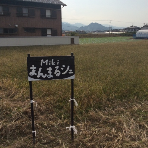 f0039933_15242814.jpg