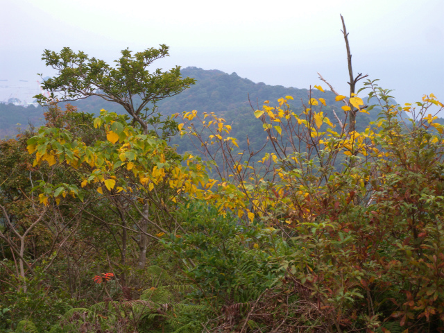 e0272335_16172334.jpg
